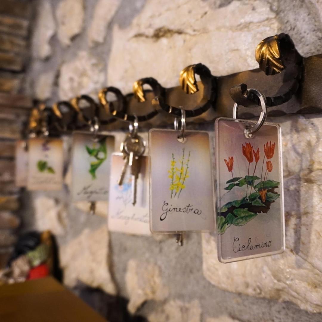 Al Piccolo Borgo Locanda Con Alloggio Castelnuovo Parano Extérieur photo